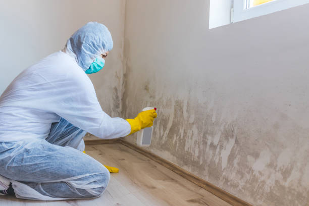 Licensed Crawl Space Mold Removal service in Thorndale, PA - WQB Mold Removal