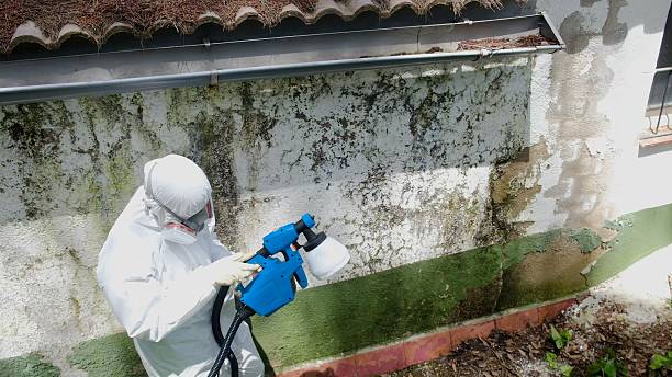 Top rated local Crawl Space Mold Removal specialists in Thorndale, PA